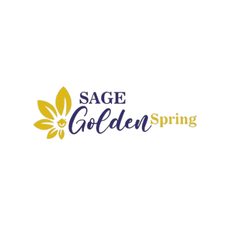 Best Interior Designer in Bhopal sage golden spring